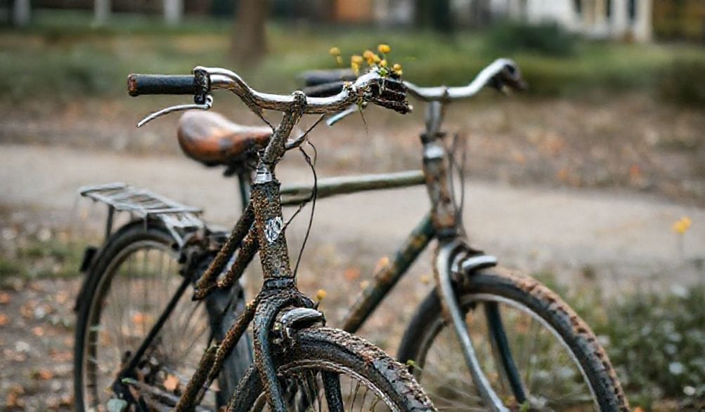 grafted bikes